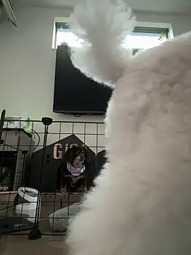 kensnb online show from March 2025 10:02:02 PM