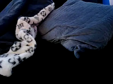 Niquitasparkles online show from December 2024 09:31:02 PM