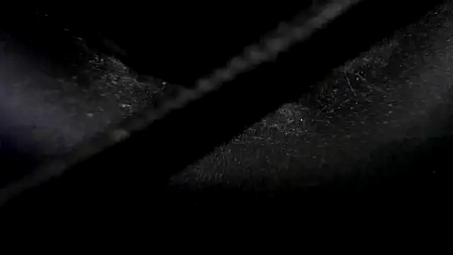 Niquitasparkles online show from January 2025 10:33:01 PM