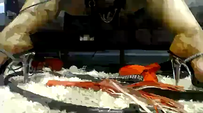 Niquitasparkles online show from February 2025 09:07:01 AM