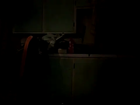 Frankdick01 online show from October 2025 05:05:01 AM