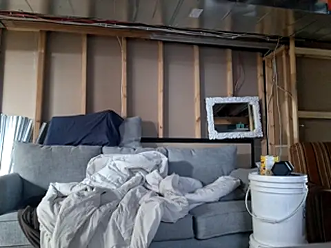 Frankdick01 online show from February 2026 07:45:01 PM