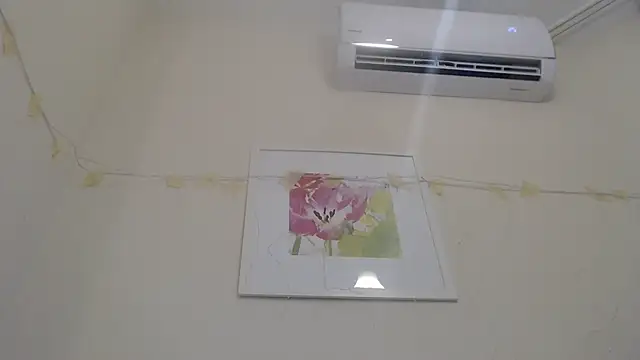 Snapshot of Only_Mane chatting on January 2025 02:53:02 PM Only Mane online show from January 2025 02:53:02 PM