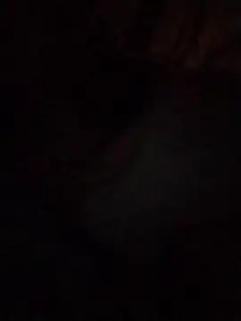 Snapshot of Work4Crypto chatting on March 2026 04:28:02 AM Work4Crypto online show from March 2026 04:28:02 AM