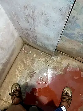 Andrapradesh online show from November 2025 04:49:01 PM