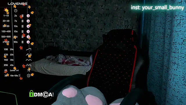 Your small bunny online show from November 2025 02:09:01 AM