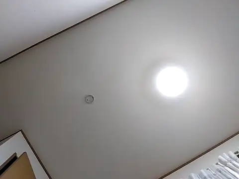 SAITO-YASUYUKI7 online show from February 2025 01:57:01 PM