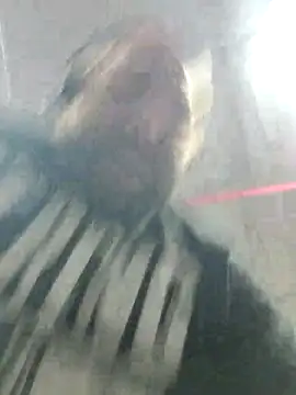 Snapshot of Strong_Bear89 chatting on December 2024 03:04:01 AM Strong Bear89 online show from December 2024 03:04:01 AM