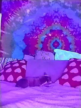 ivylee31 online show from March 2026 12:38:02 AM