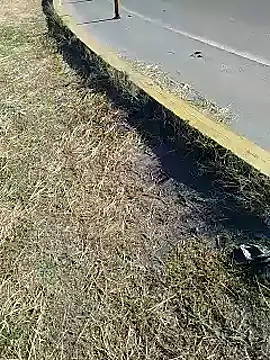 Alysson-- online show from January 2025 01:00:02 PM