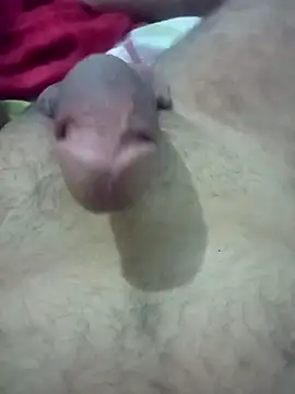 Gostozim7 online show from December 2024 12:30:01 AM