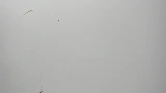 Karljensen33 online show from December 2024 05:42:01 AM