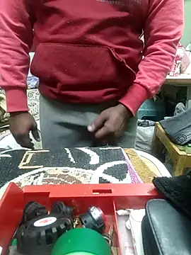 ShelfyOfferer online show from February 2025 11:53:02 PM