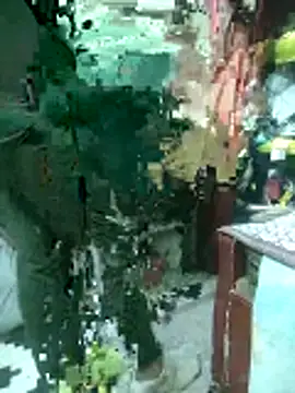 ShelfyOfferer online show from March 2026 09:15:02 AM