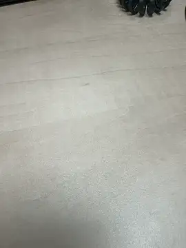 private girl online show from December 2025 11:19:01 AM