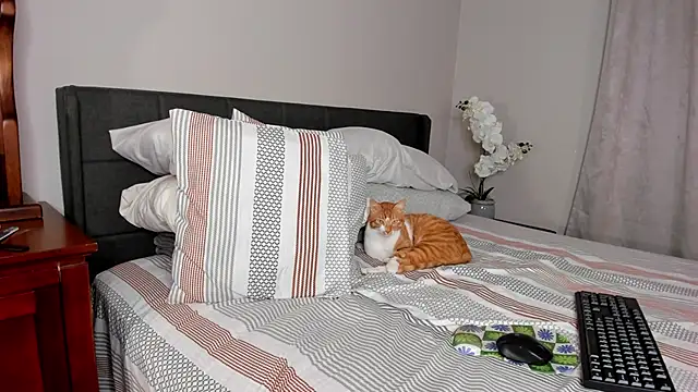 Angel 1997 online show from February 2025 11:30:01 PM