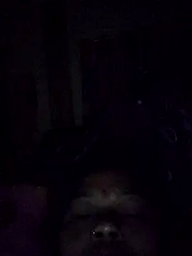 Bangarupapa online show from February 2026 12:31:01 AM