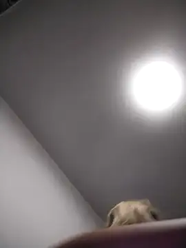 Snapshot of AudreySosa chatting on March 2025 08:04:01 AM AudreySosa online show from March 2025 08:04:01 AM