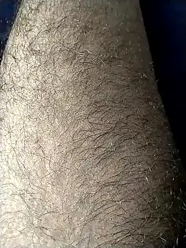 jellydicks online show from February 2026 04:40:01 PM