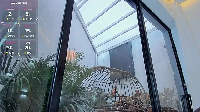 Venusflame   online show from October 2025 12:06:01 PM