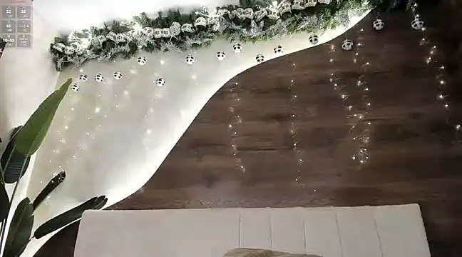 Morgan Hilll  online show from December 2024 04:37:01 PM