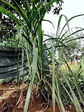 Betty20zx online show from September 2025 01:16:02 AM