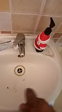 pedritolobito online show from January 2025 02:45:01 PM