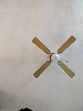 FreakySag 8888 online show from March 2025 02:06:02 AM