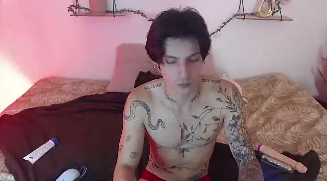 Snapshot of Apolo_Hidalgo01 chatting on January 2025 04:13:01 PM Apolo Hidalgo01 online show from January 2025 04:13:01 PM