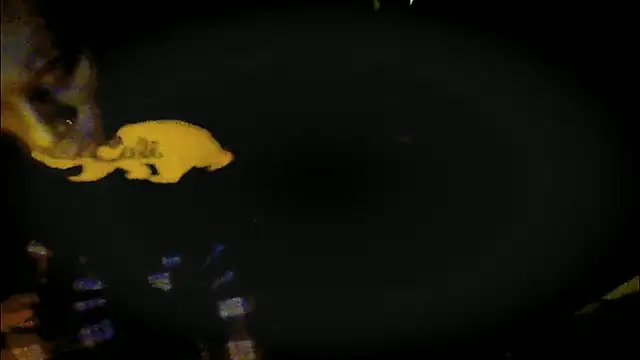 Snapshot of Pressure69mee chatting on March 2025 09:24:01 PM Pressure69mee online show from March 2025 09:24:01 PM