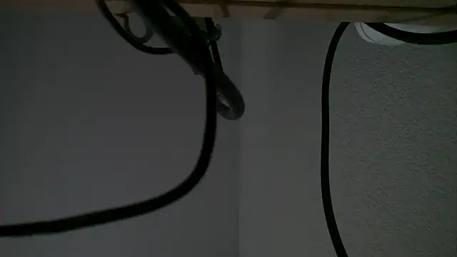 Youcunn online show from February 2026 12:14:02 AM