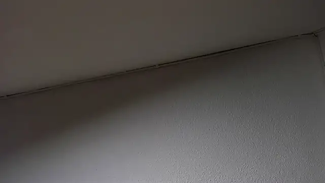 Dimitri higth420 online show from March 2025 08:48:01 AM