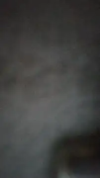 axelongshaft69 online show from February 2025 03:49:02 PM