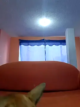 thoom-d online show from February 2025 09:13:02 PM