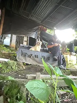 Jestebanano online show from March 2026 12:20:01 PM