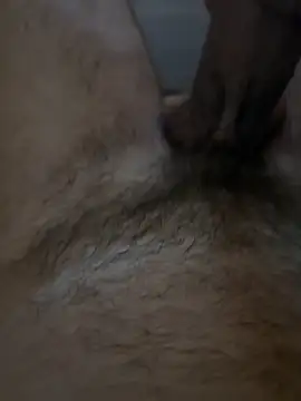 AimedTarheel online show from April 2026 08:29:01 PM