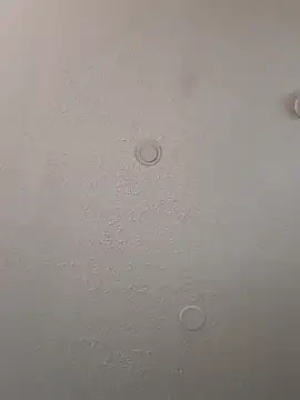 geilerschwanz64 online show from January 2025 12:57:02 PM