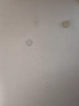 geilerschwanz64 online show from January 2025 04:31:02 PM