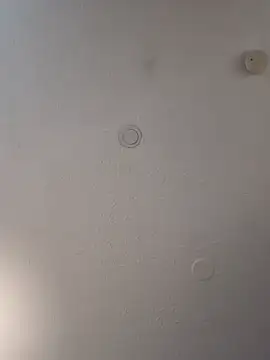 geilerschwanz64 online show from February 2025 07:05:01 PM