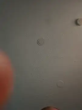 geilerschwanz64 online show from March 2025 05:50:02 PM