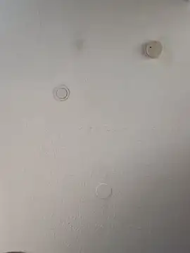 geilerschwanz64 online show from March 2025 11:09:02 AM