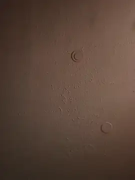 geilerschwanz64 online show from March 2025 11:49:02 AM