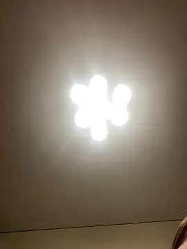 Janet Welder online show from December 2024 07:37:01 AM