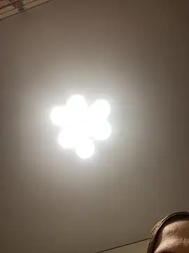 Janet Welder online show from November 2025 12:05:02 AM