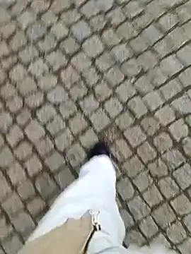 domexib online show from February 2025 05:39:02 PM