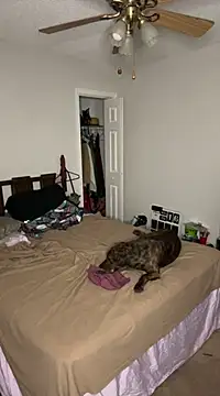 torilux online show from February 2025 08:14:01 AM