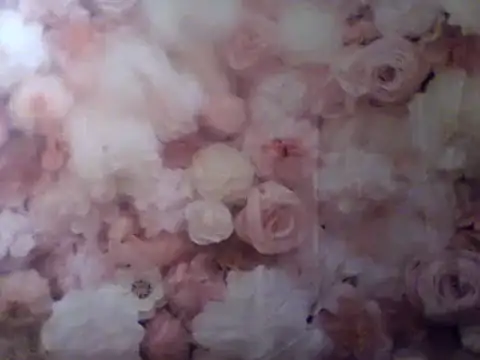 camiliaskye online show from December 2024 04:49:02 AM