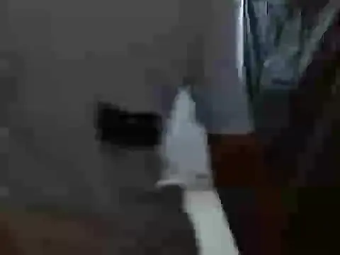 Snapshot of latino_hotxxx chatting on October 2025 11:27:01 PM latino hotxxx online show from October 2025 11:27:01 PM