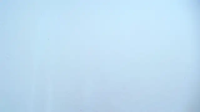 moan sex2 online show from March 2025 11:37:02 AM