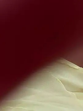 lariic online show from March 2026 06:41:02 PM